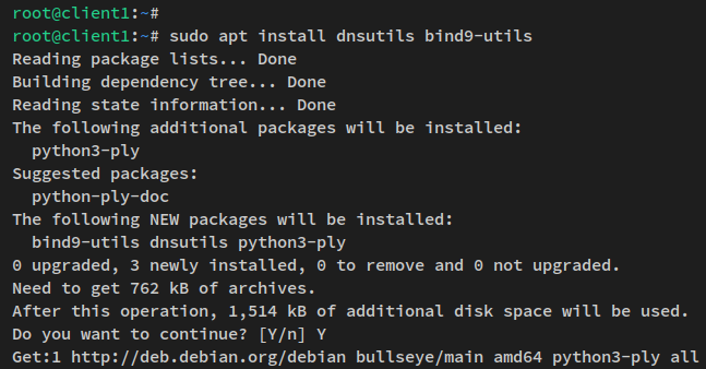 dnsutils installieren