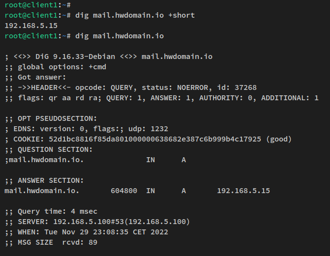 Domänenname überprüfen