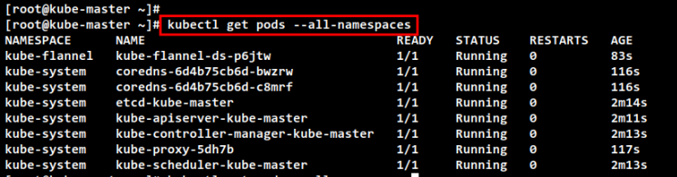 pods kubernetes prüfen
