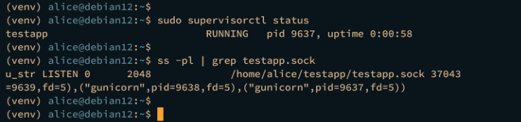 Aufsichtspersonen-Apps prüfen