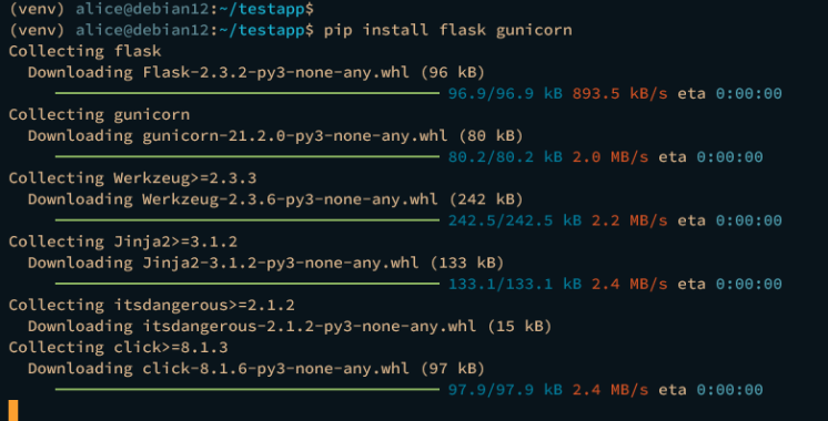 Flachmann Gunicorn installieren