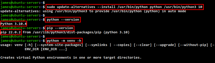 setup standard python