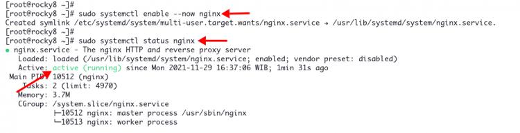 nginx als Reverse Proxy für grafana einrichten