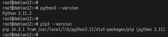 pip und python überprüfen