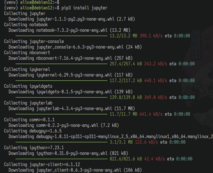 Juopyter installieren