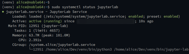 Jupyter-Status prüfen