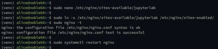 nginx Reverse Proxy einrichten