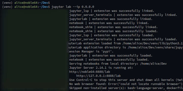 Jupyter von der Kommandozeile ausführen