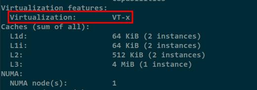Überprüfung der Virtualisierungsunterstützung