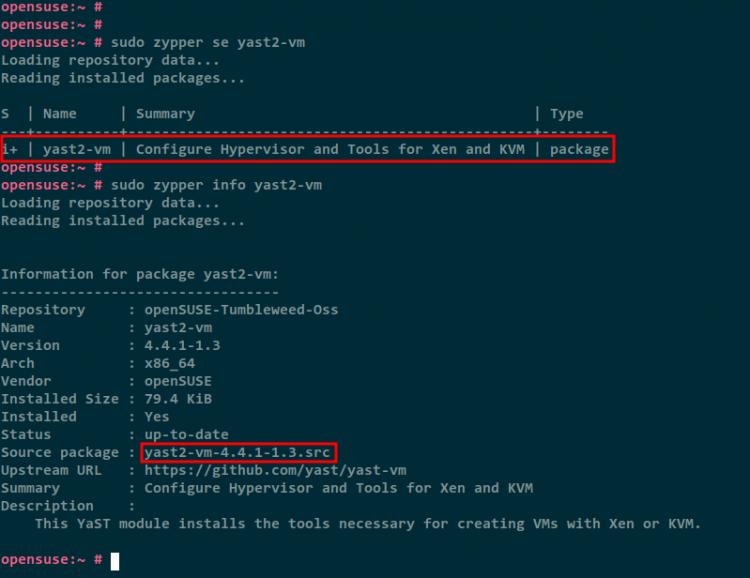 Überprüfung des Pakets yast2-vm