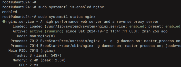 nginx prüfen