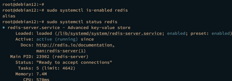 Redis prüfen