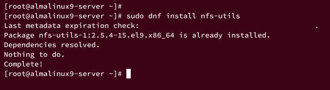 So installierst du NFS Server und Client unter AlmaLinux 9 – HowtoForge