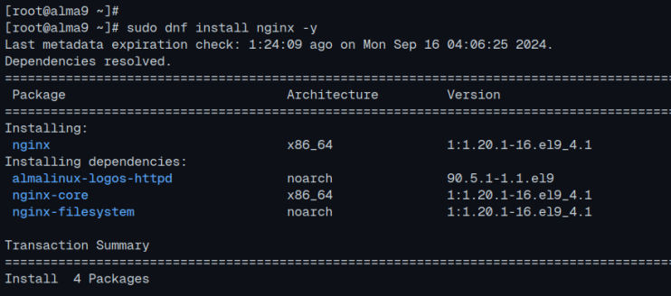 nginx installieren