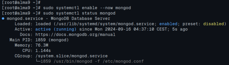 mongodb aktivieren