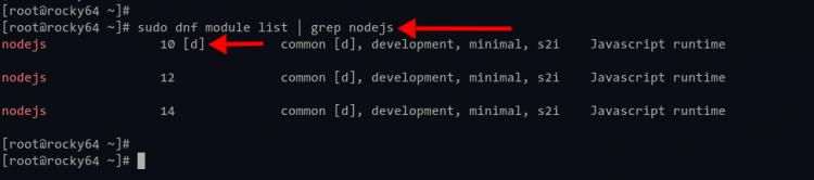 Node.js-Repository-Modul Rocky Linux prüfen