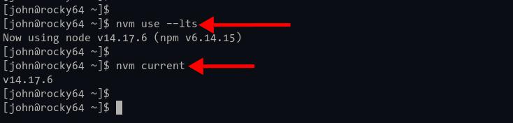 Wechsle zwischen verschiedenen Node.js-Versionen mit NVM