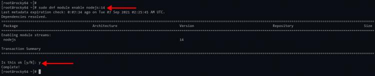 Repository-Modul aktivieren Node.js 14