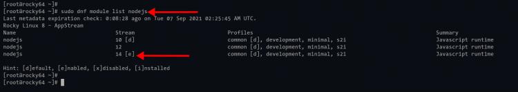 Überprüfe das Node.js Repository Modul