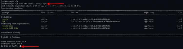 Node.js und npm auf Rocky Linux installieren