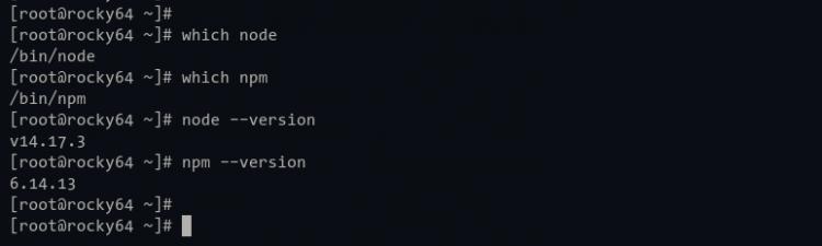 Überprüfe den Pfad und die Version von Node.js und nom binary