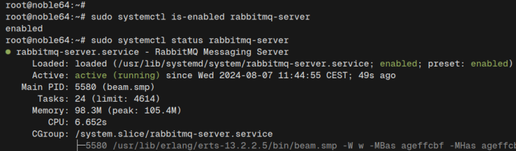 Kaninchenmq überprüfen