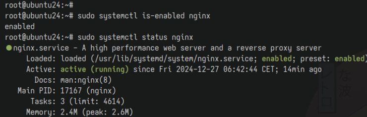 nginx prüfen