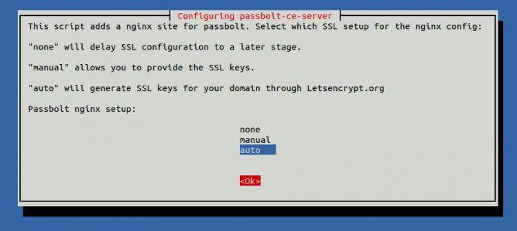 automatische nginx-Einrichtung
