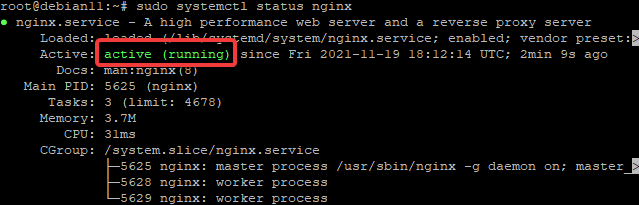 NGINX Reverse Proxy für Plex konfigurieren