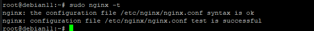 NGINX Reverse Proxy für Plex konfigurieren