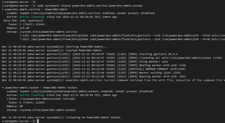 pdns-Dienste überprüfen