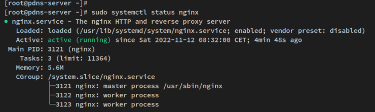 nginx prüfen