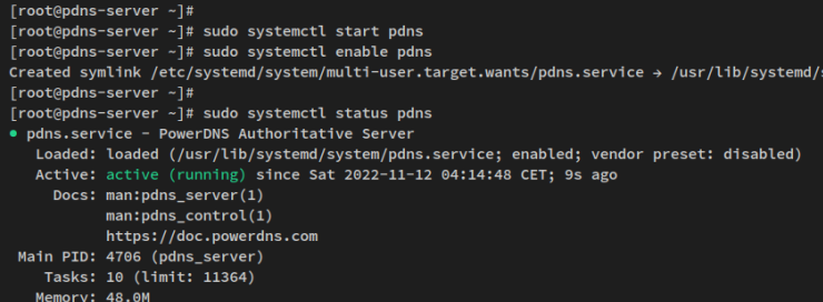 pdns-Dienst überprüfen