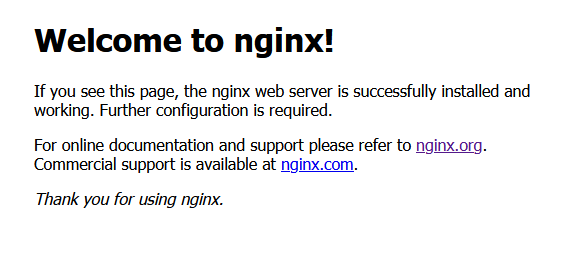 Nginx Standardseite