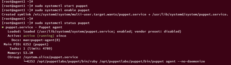 Puppendienst überprüfen