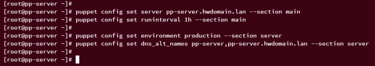Puppet Server konfigurieren