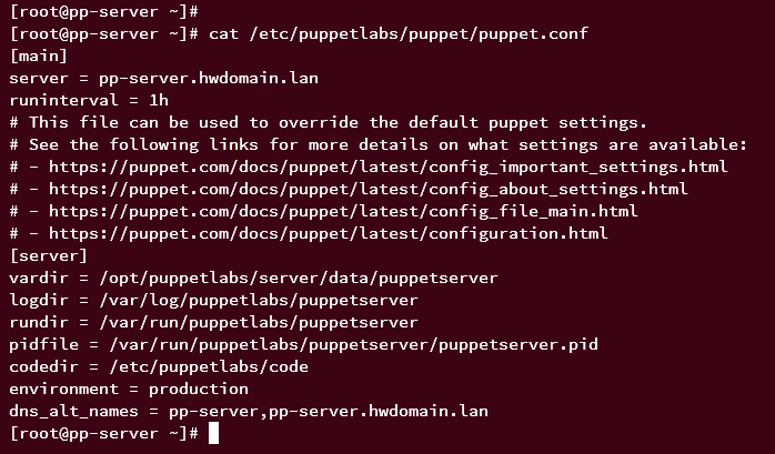 generierte Konfiguration Puppet Server