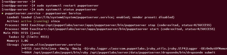 start verify puppet server