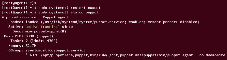 Verify Puppet Agent starten