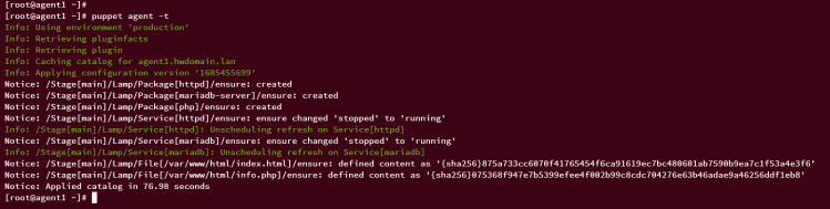 Manifest auf den Puppet Agent anwenden