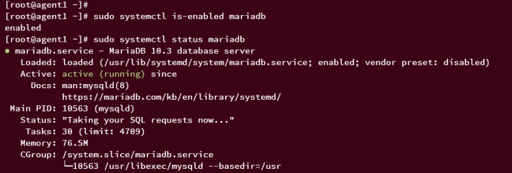 mariadb-Dienst überprüfen