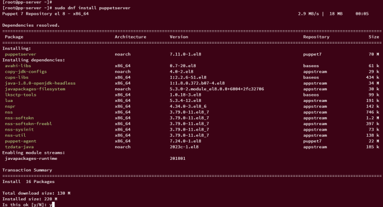 Puppetserver installieren