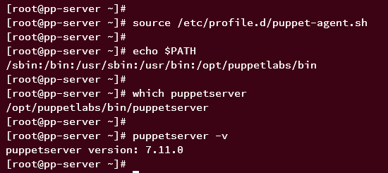 Puppetserver überprüfen