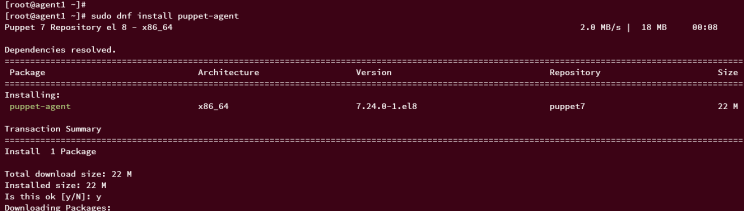 Puppet Agent installieren