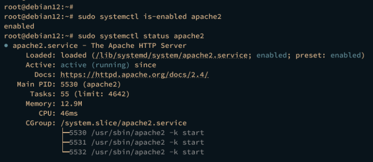 apache2 prüfen