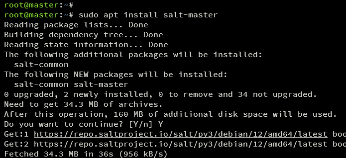 Salzmeister installieren