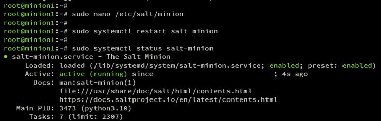 Überprüfe Salz Lakaien