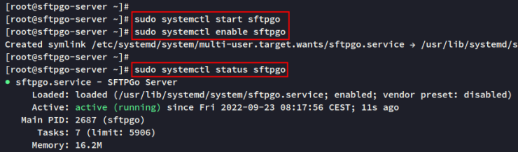 sftpgo-Dienst prüfen