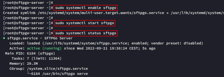 Status sftpgo prüfen