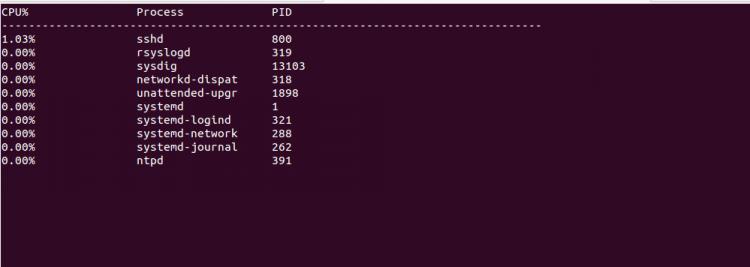 sysdig -c topprocs_cpu